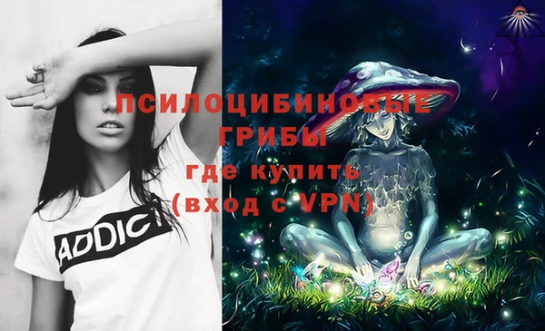 мет Кулебаки