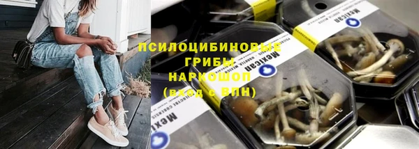 Альфа ПВП Краснослободск