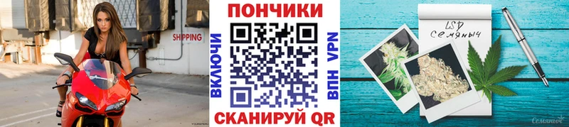 Шишки марихуана сатива  купить наркотики сайты  Лахденпохья 